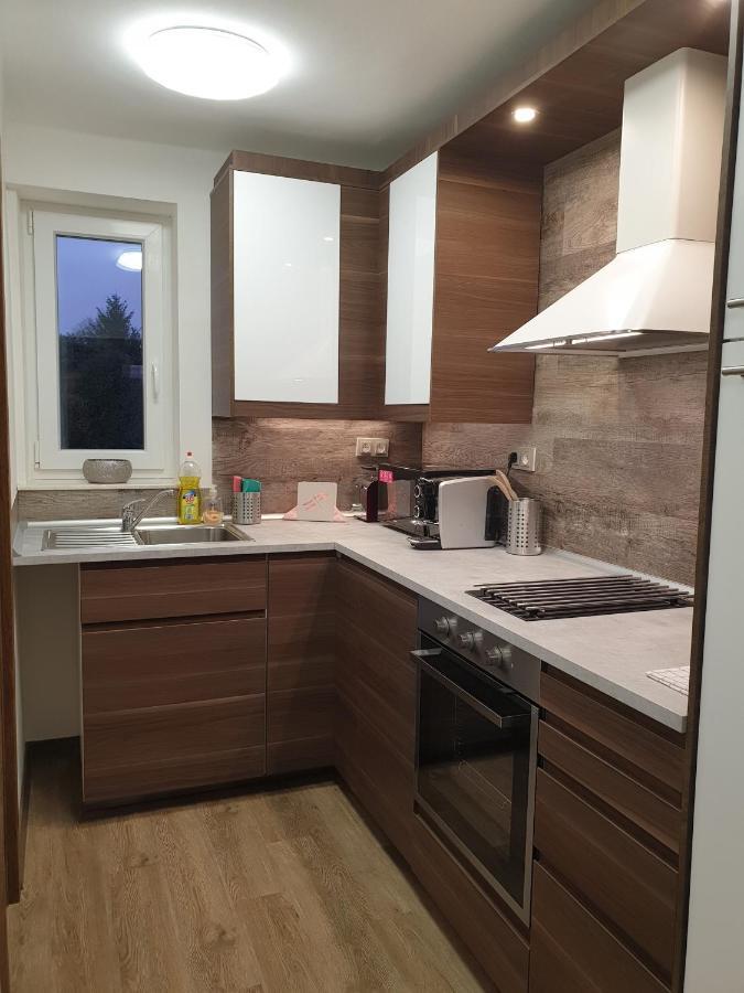 Apartman U Labe Nymburk Bagian luar foto