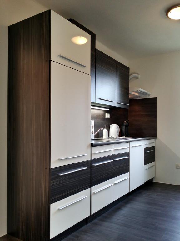 Apartman U Labe Nymburk Ruang foto
